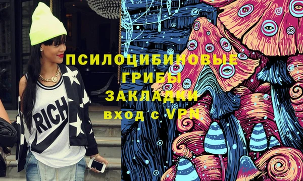 прущая мука Арсеньев