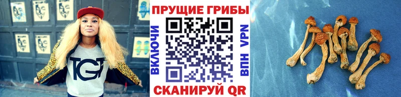 мега ONION Ясногорск Галлюциногенные грибы мухоморы